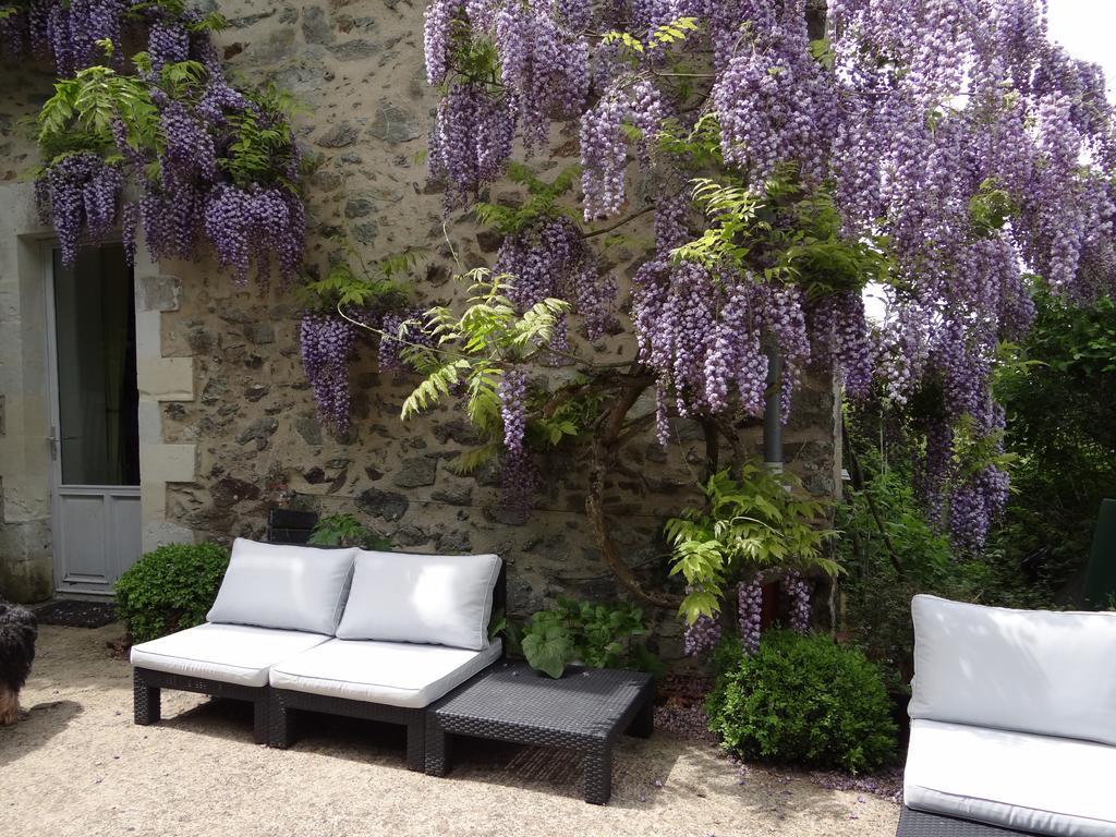 Rochefort-sur-Loire Au Moulin Geant Bed & Breakfast エクステリア 写真