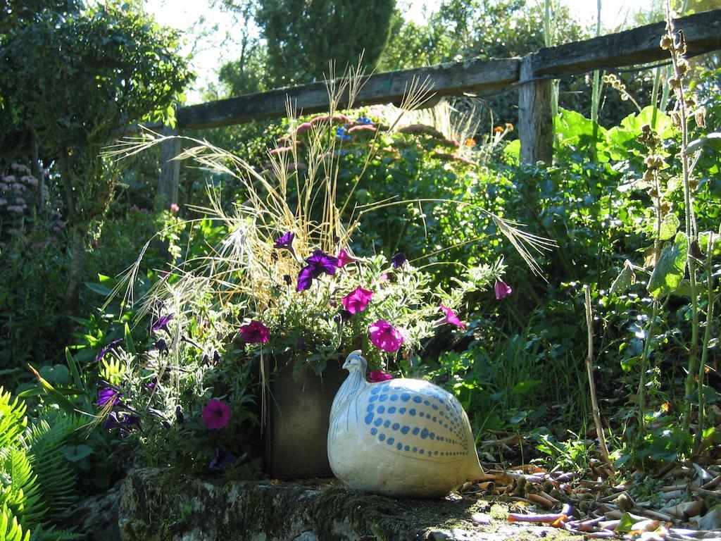 Rochefort-sur-Loire Au Moulin Geant Bed & Breakfast エクステリア 写真