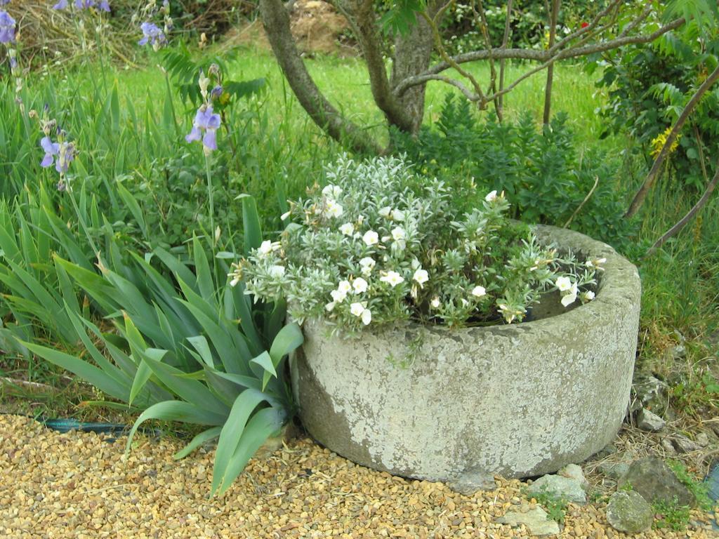 Rochefort-sur-Loire Au Moulin Geant Bed & Breakfast エクステリア 写真