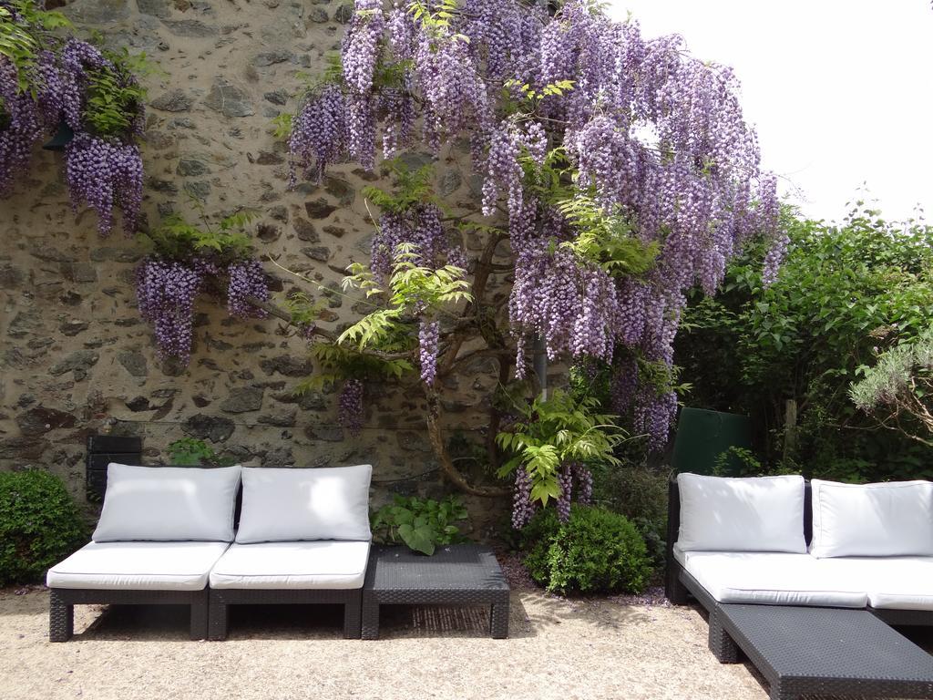 Rochefort-sur-Loire Au Moulin Geant Bed & Breakfast エクステリア 写真